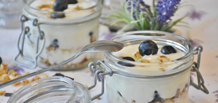 yogurt, berry, blueberries-1612787.jpg