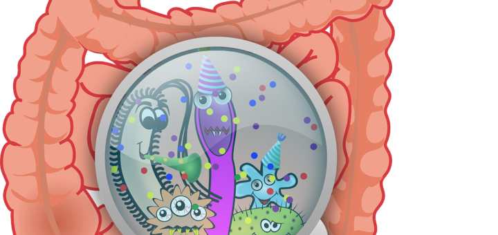 anatomy, bacteria, bacterium-160524.jpg